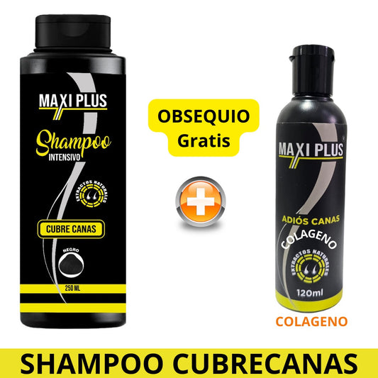Bloquea las Canas y Mantén tu Cabello del Color Natural